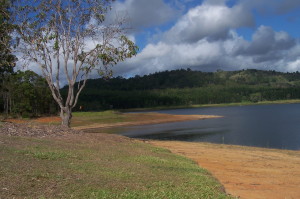 Looking west, below the picnic area at the end of North Maleny Rd
