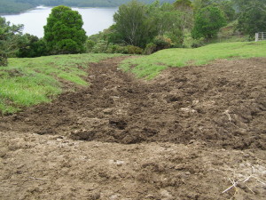 Before-photo of livestock laneway hardening on the Wittacork property. Note Baroon Pocket Dam in the background.